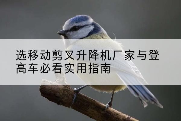 钦州电动升降机厂家-选移动剪叉升降机厂家与登高车必看实用指南
