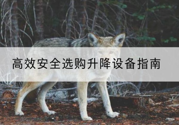 钦州升降货梯厂家推荐-*安全选购升降设备指南