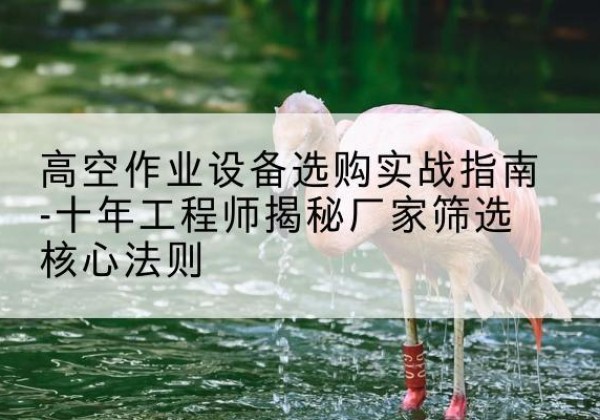 钦州剪叉式升降机厂家-高空作业设备选购实战指南-十年工程师揭秘厂家筛选核心法则